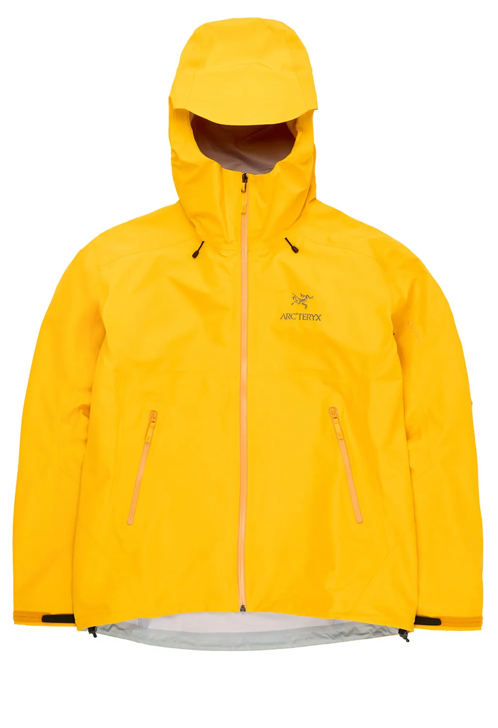 Arc'teryx Men's Beta LT Jacket - Edziza