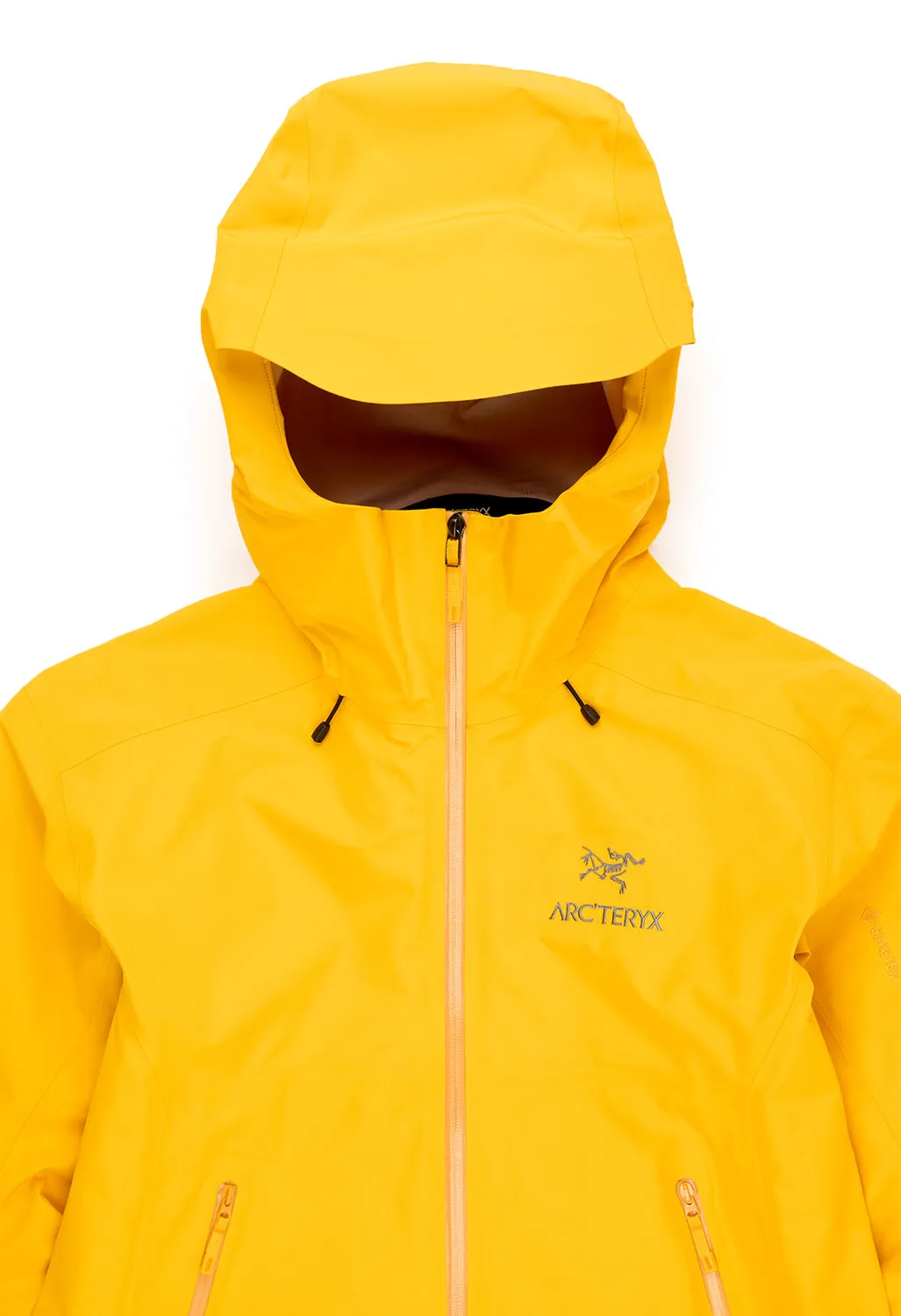 Arc'teryx Men's Beta LT Jacket - Edziza