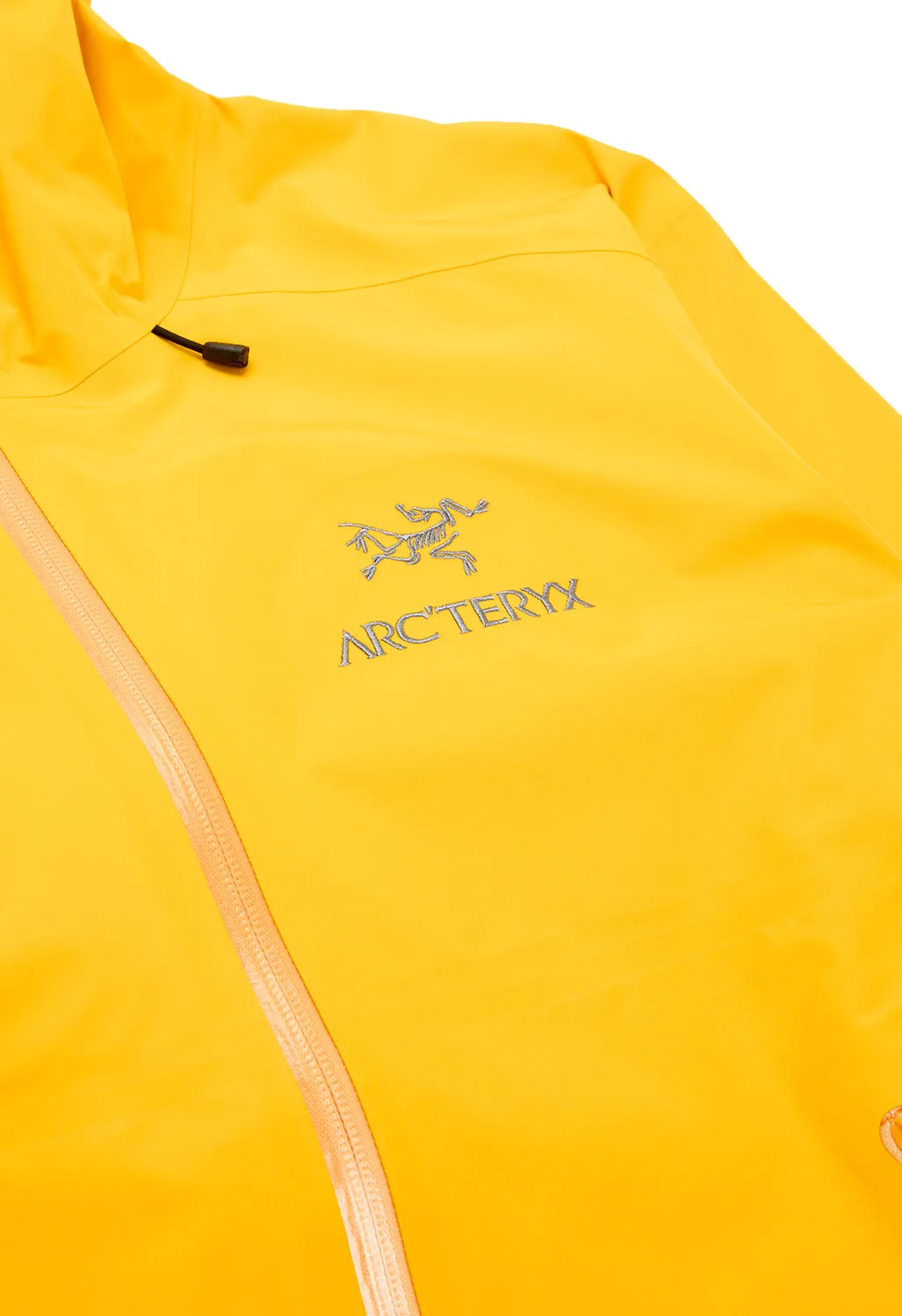 Arc'teryx Men's Beta LT Jacket - Edziza