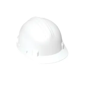 DEGIL Type 1 Hard Hat - White