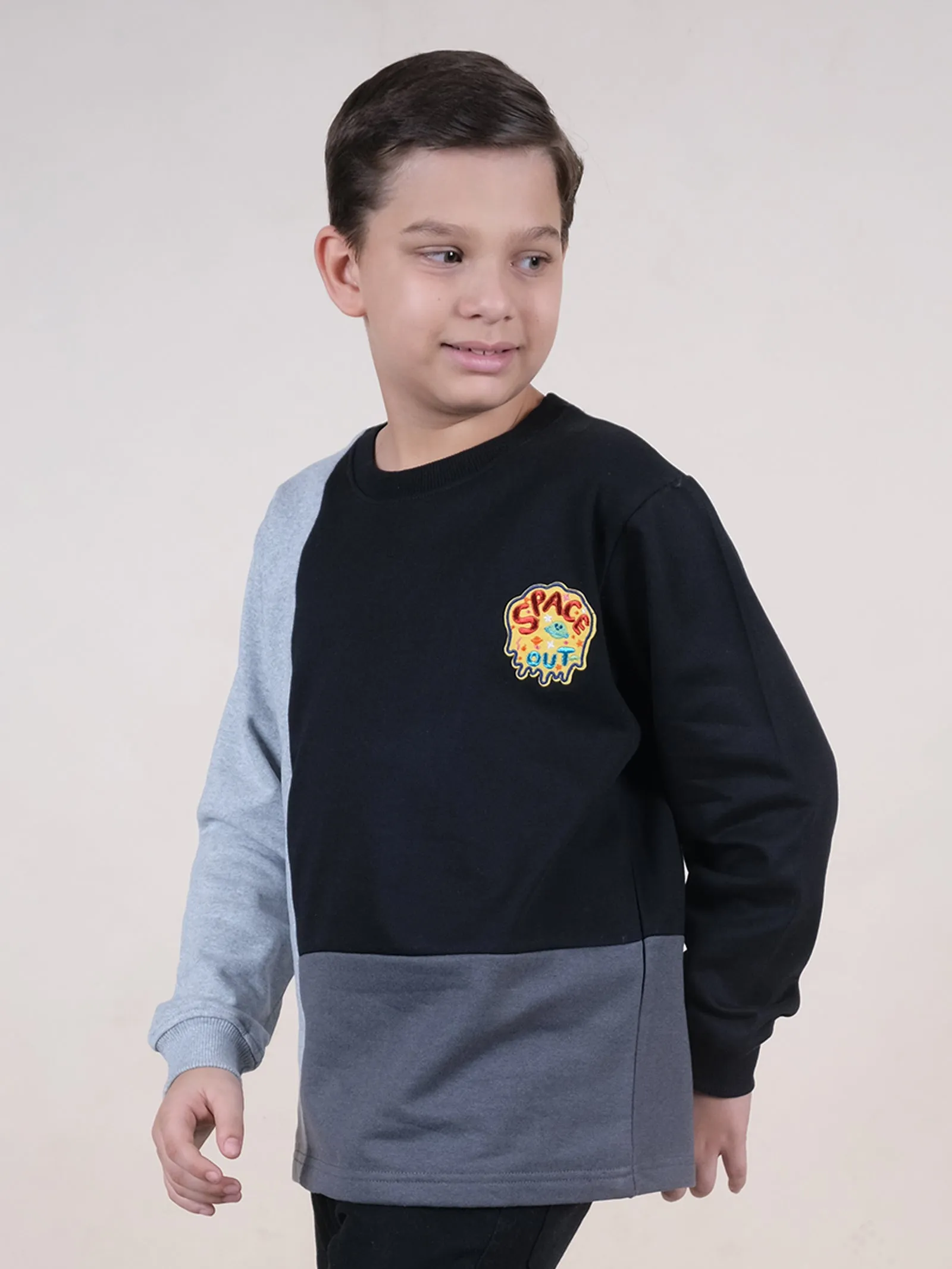 Fleece Full Sleeves Colour Block Cut & Sew Sweatshirt With Applique