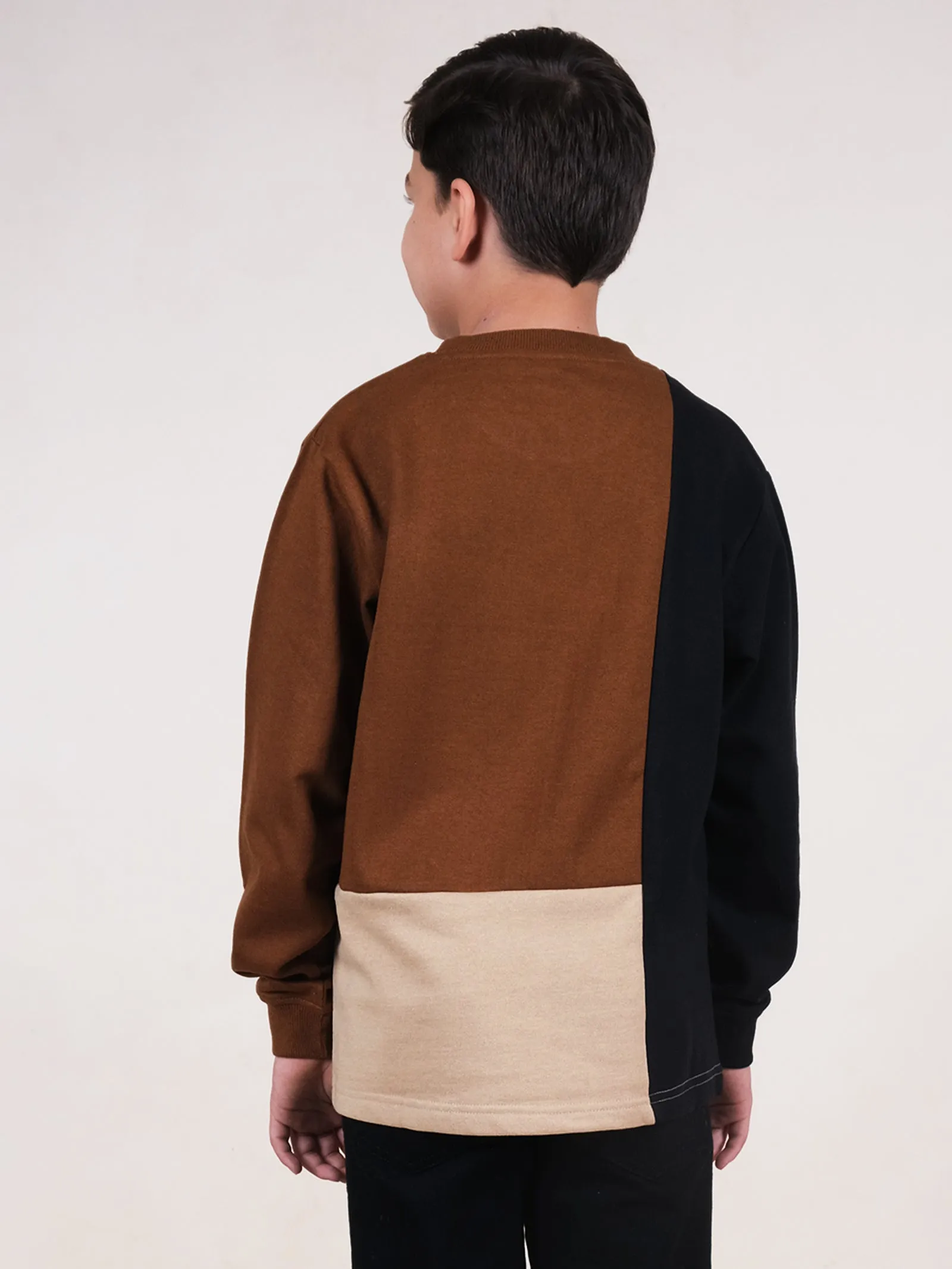 Fleece Full Sleeves Colour Block Cut & Sew Sweatshirt With Applique