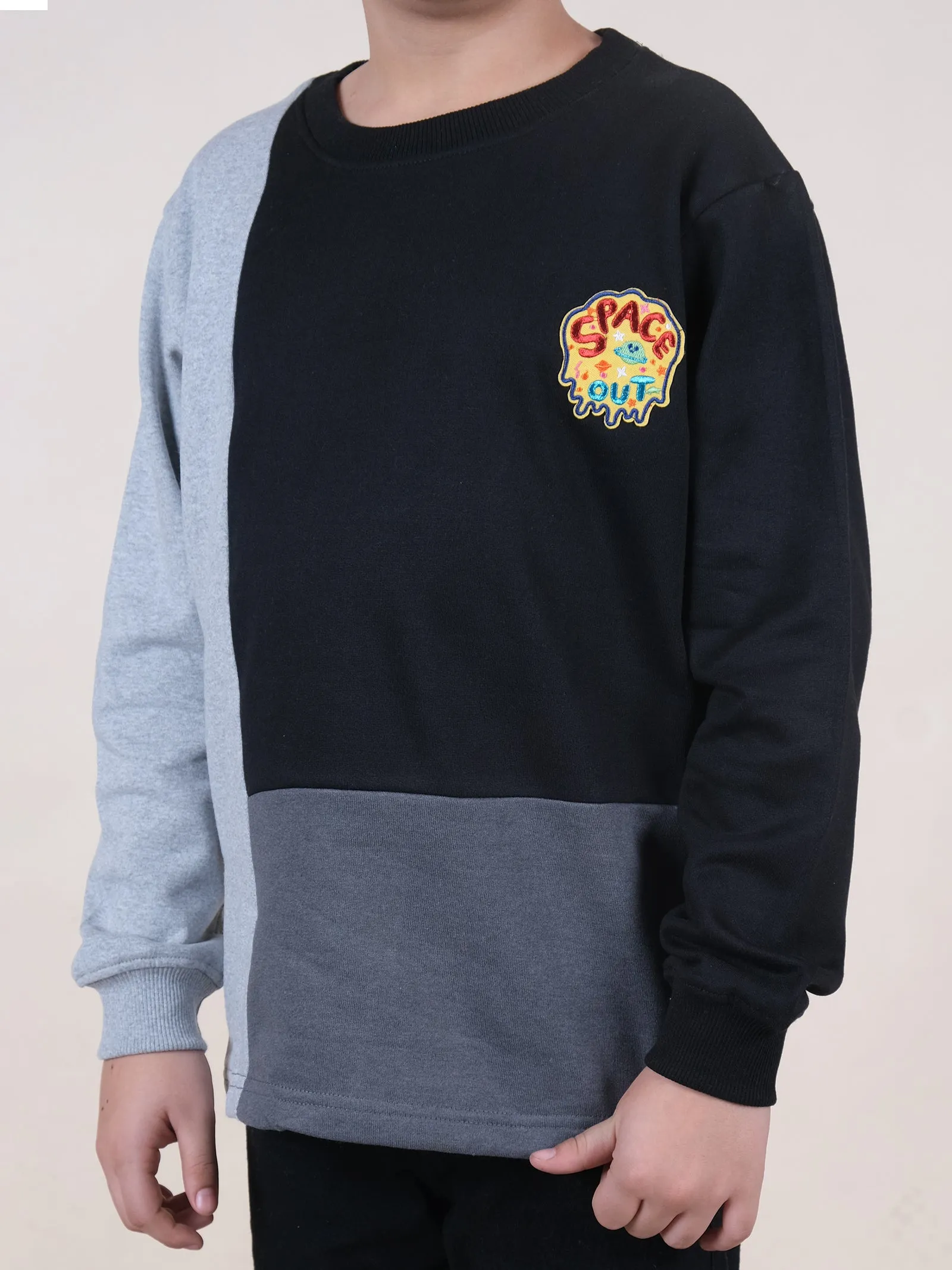 Fleece Full Sleeves Colour Block Cut & Sew Sweatshirt With Applique