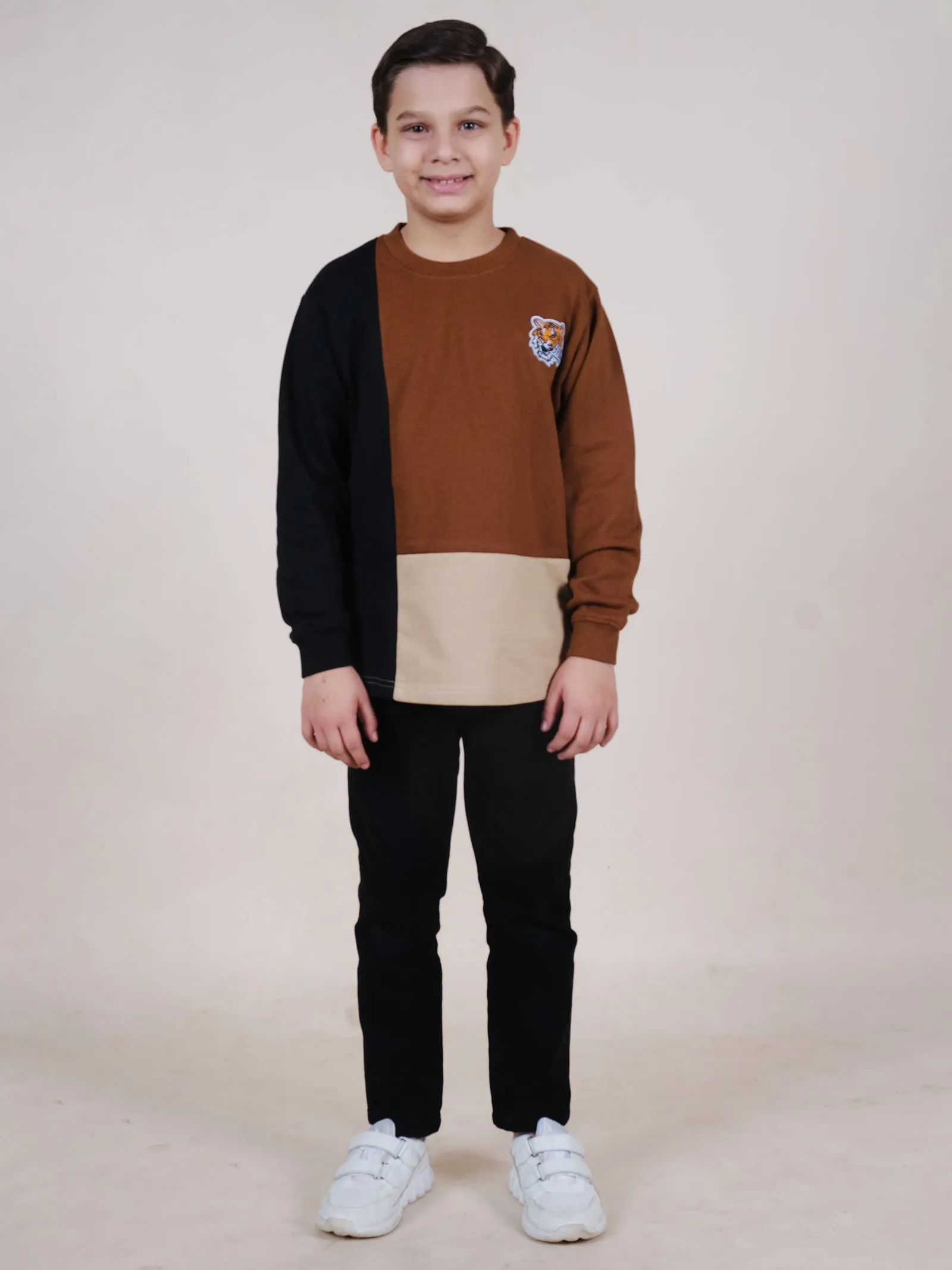 Fleece Full Sleeves Colour Block Cut & Sew Sweatshirt With Applique