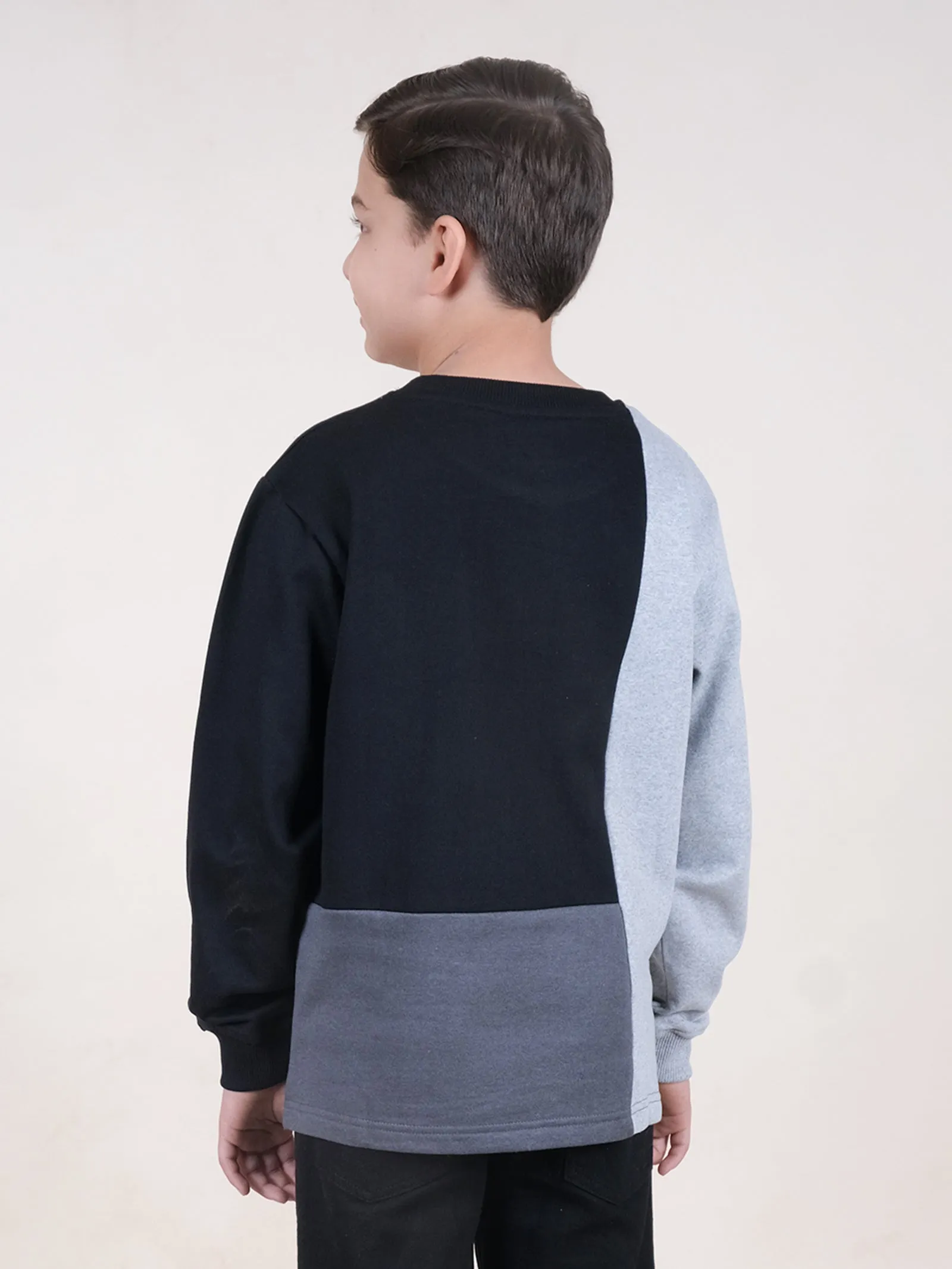 Fleece Full Sleeves Colour Block Cut & Sew Sweatshirt With Applique