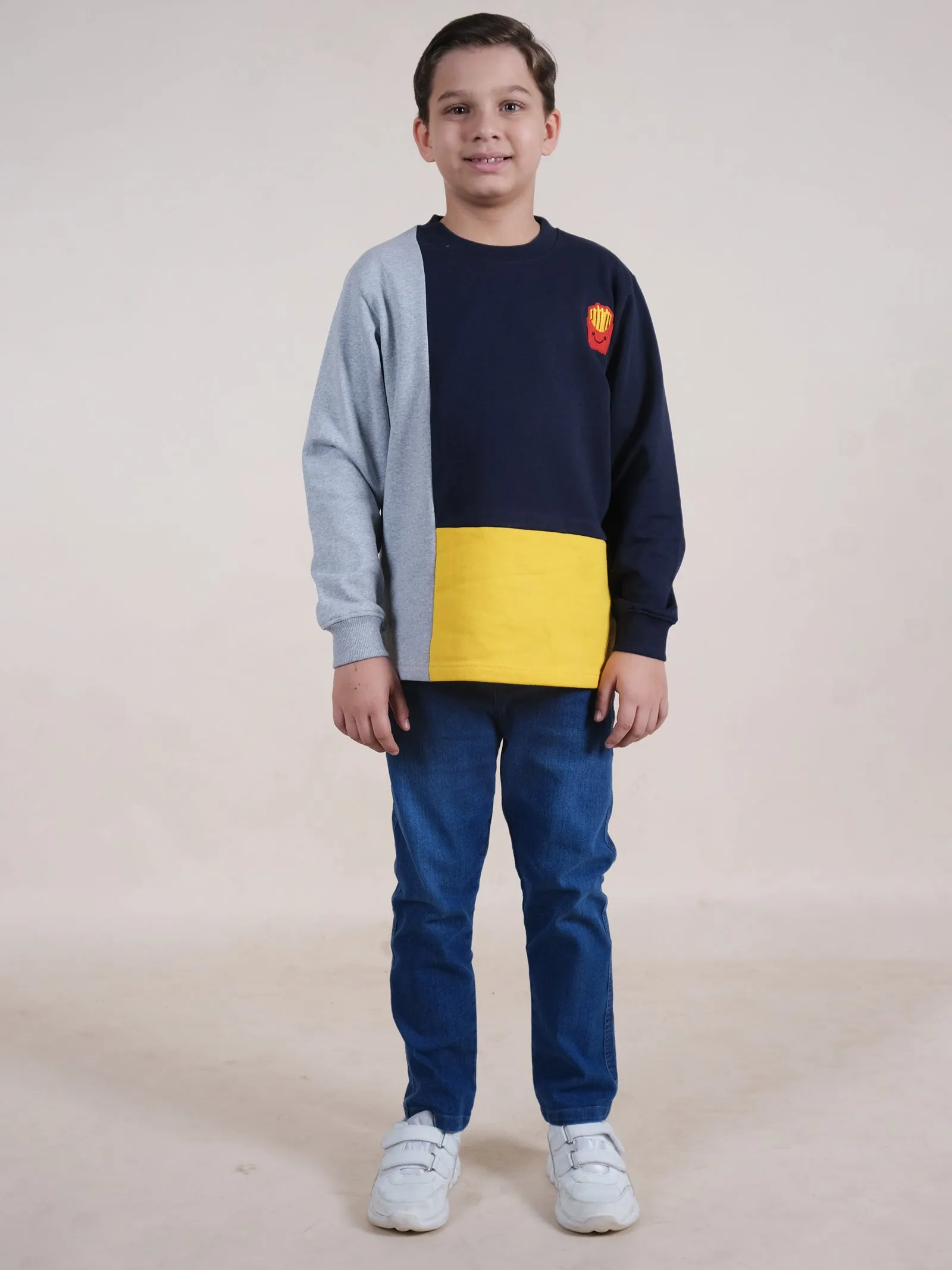 Fleece Full Sleeves Colour Block Cut & Sew Sweatshirt With Applique