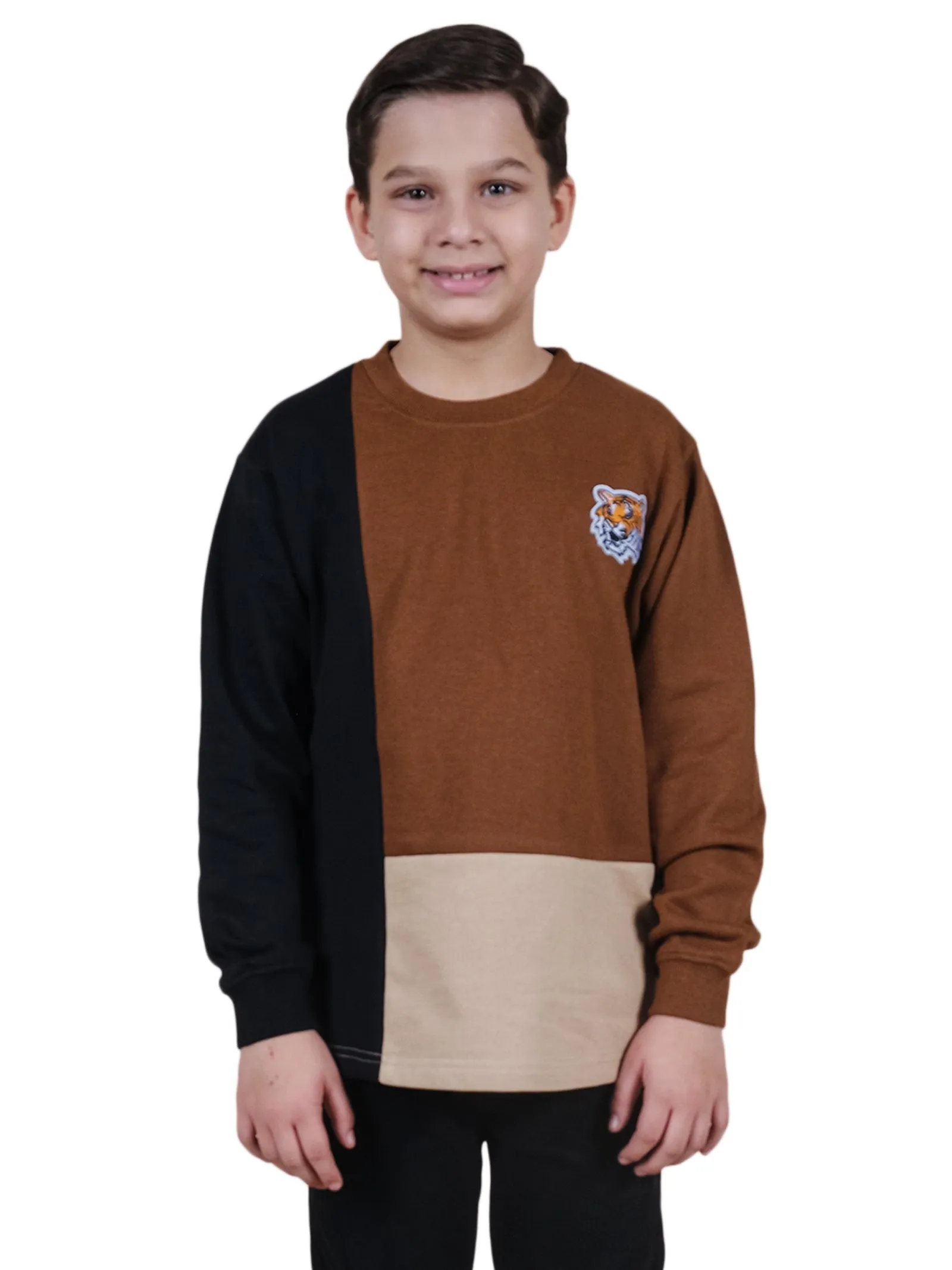 Fleece Full Sleeves Colour Block Cut & Sew Sweatshirt With Applique