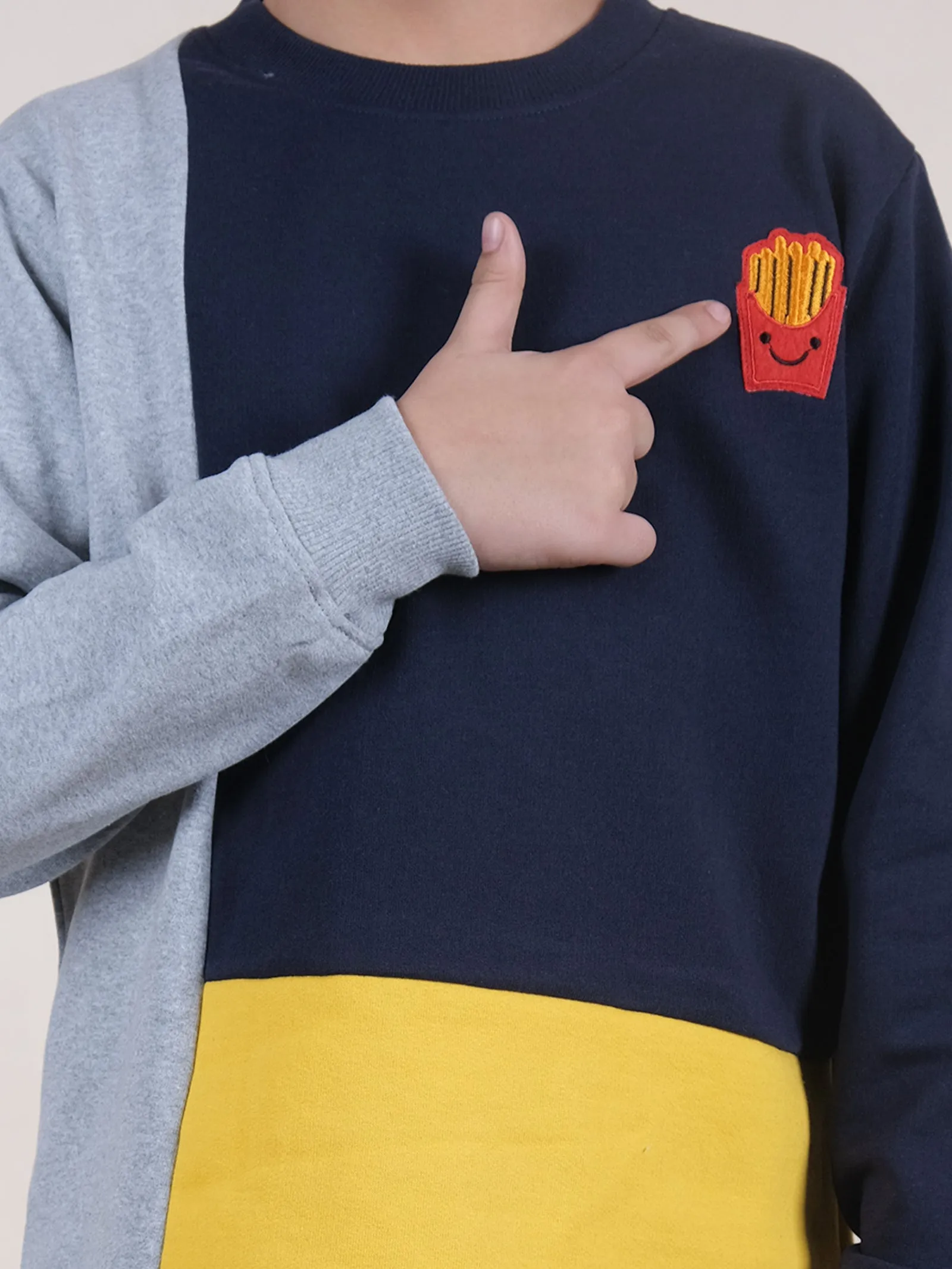 Fleece Full Sleeves Colour Block Cut & Sew Sweatshirt With Applique