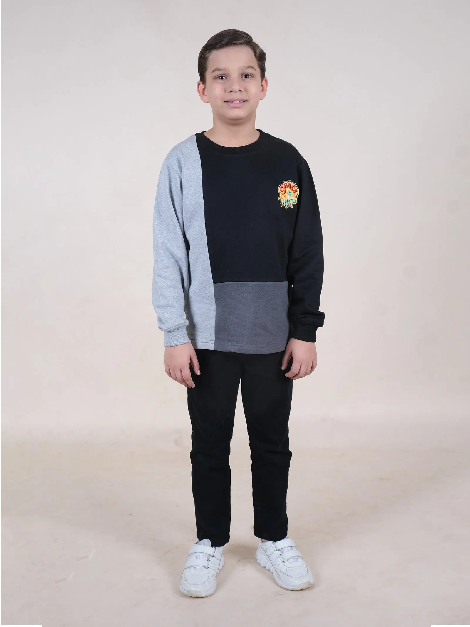 Fleece Full Sleeves Colour Block Cut & Sew Sweatshirt With Applique