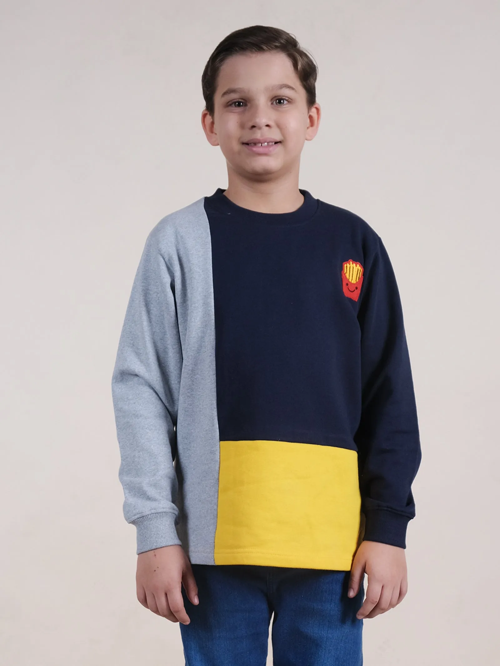 Fleece Full Sleeves Colour Block Cut & Sew Sweatshirt With Applique