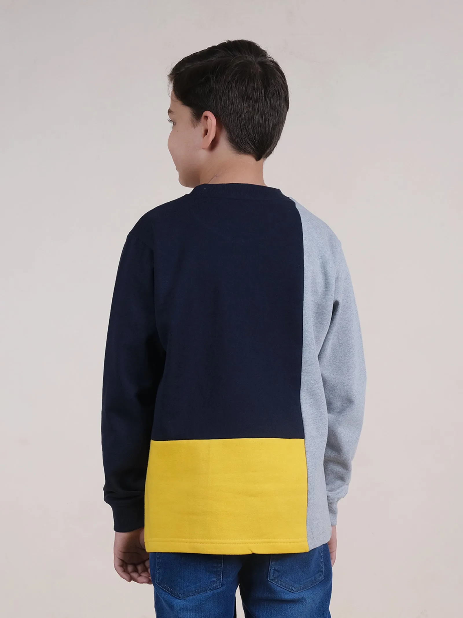 Fleece Full Sleeves Colour Block Cut & Sew Sweatshirt With Applique