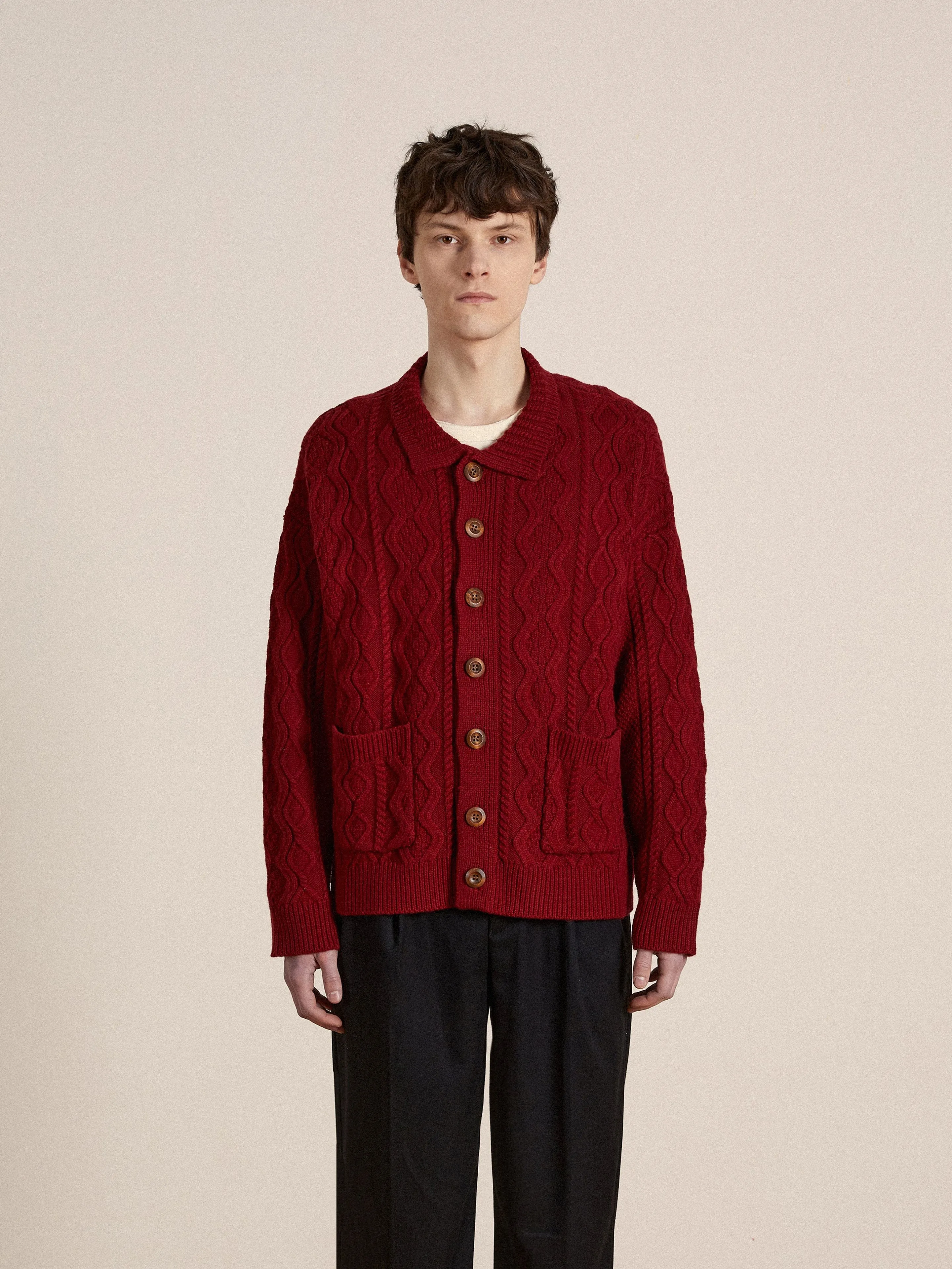 Parsidan Cable Knit Cardigan